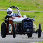 JAL_5599